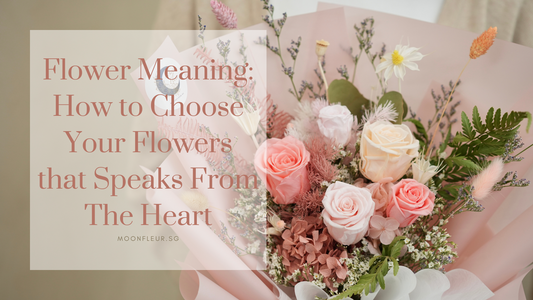 Flower Meaning: How to Choose Your Flowers that Speaks From The Heart