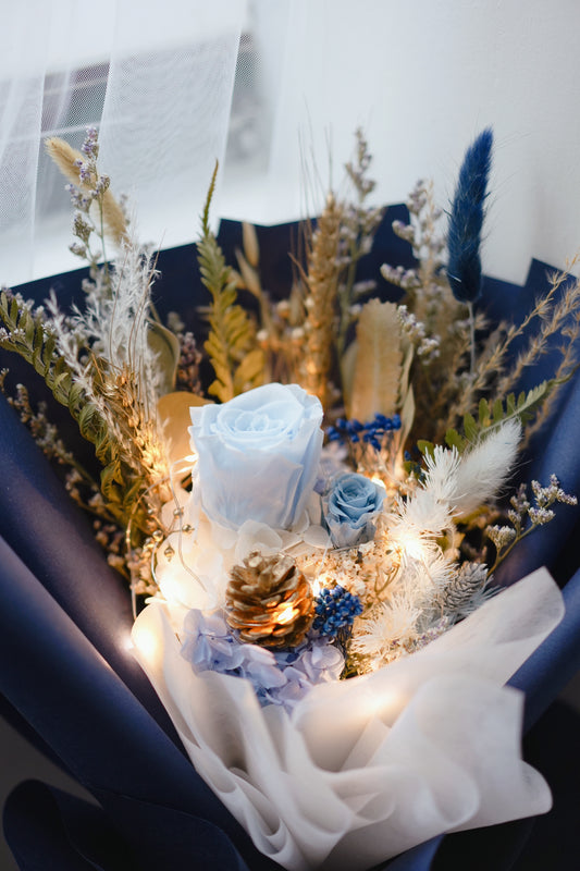 Fairy Lights