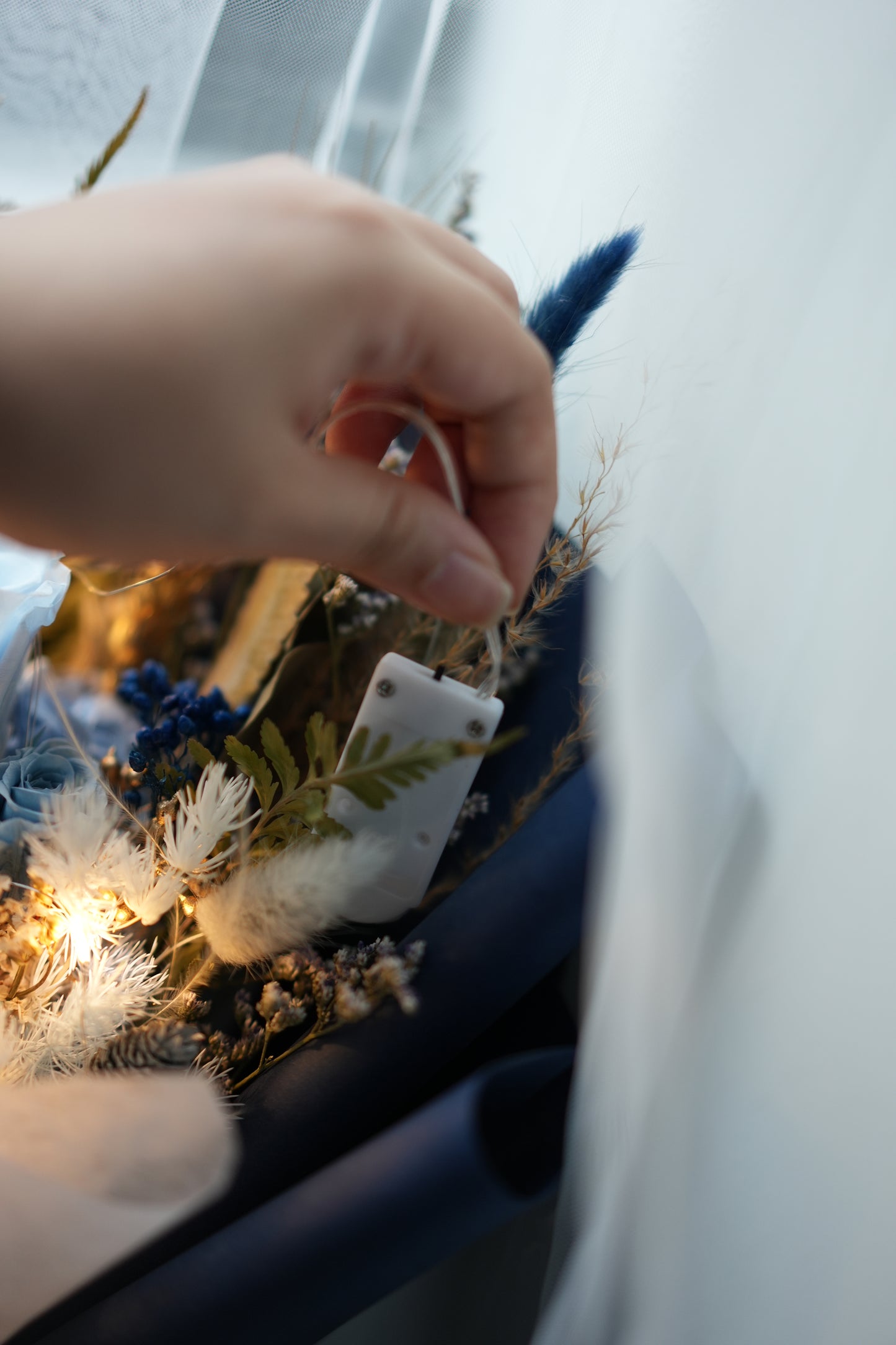Fairy Lights