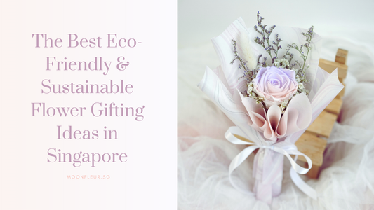 The Best Eco-Friendly & Sustainable Flower Gifting Ideas in Singapore