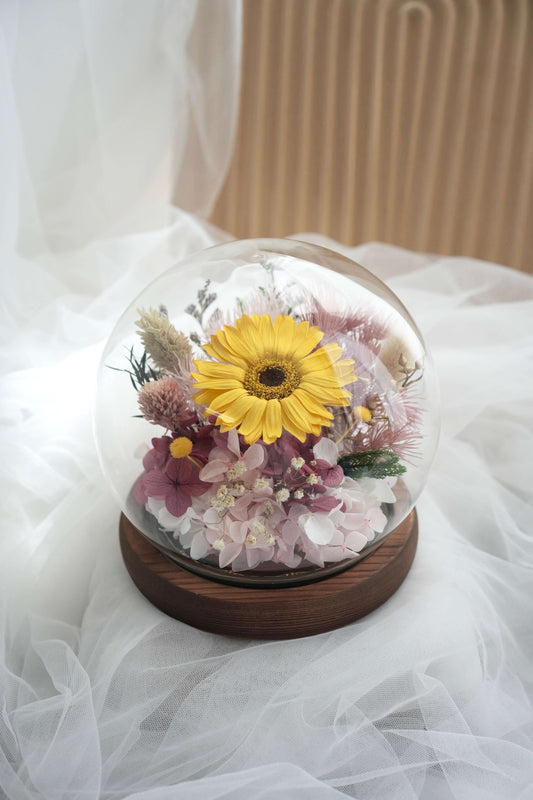 Gerbera Rosalia Love LED Dome