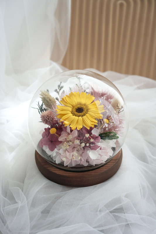 Gerbera Rosalia Love LED Dome